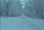 Snowy_road.jpg