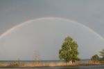 Rainbow_over_tree.jpg