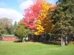 fall_pictures_010.jpg