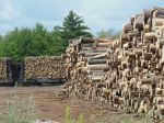 Lumber_Mill.JPG